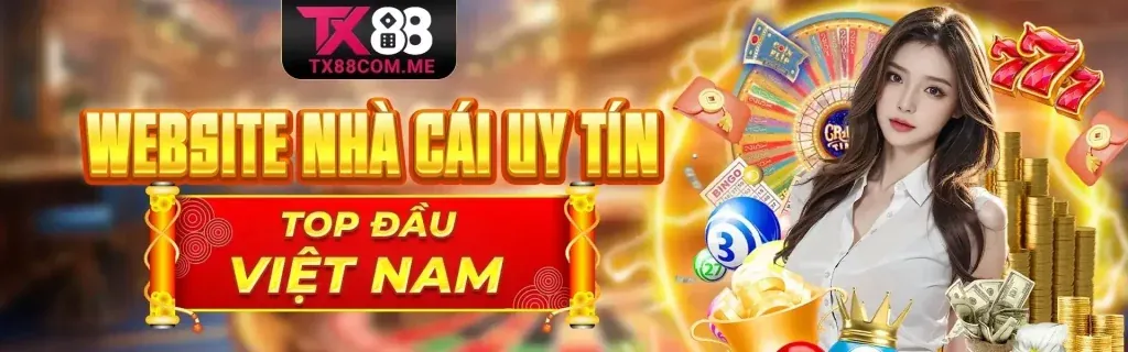 Hình ảnh chính blog cmm88