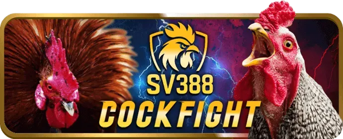 Mẹo casino cmm88